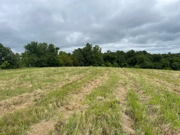 16.7 Ac Turkey Ridge CT, Pineville, MO 64856