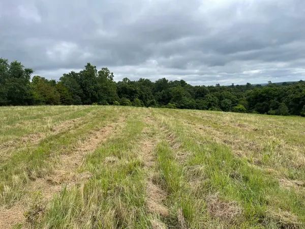 16.7 Ac Turkey Ridge CT, Pineville, MO 64856