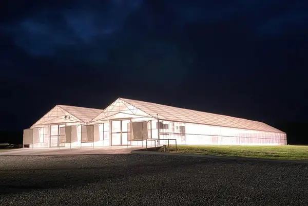 21713 Highway Pp, Pierce City, MO 65723