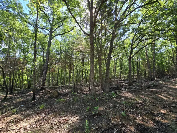 Lot 6 Block 12 Tall Oaks, Pittsburg, MO 65724