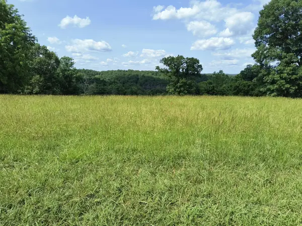 000 Eagle Wing DR, Theodosia, MO 65761