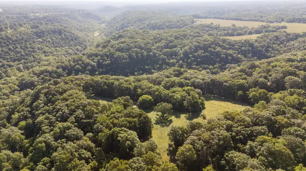0000 Farm Road 1090, Washburn, MO 65772