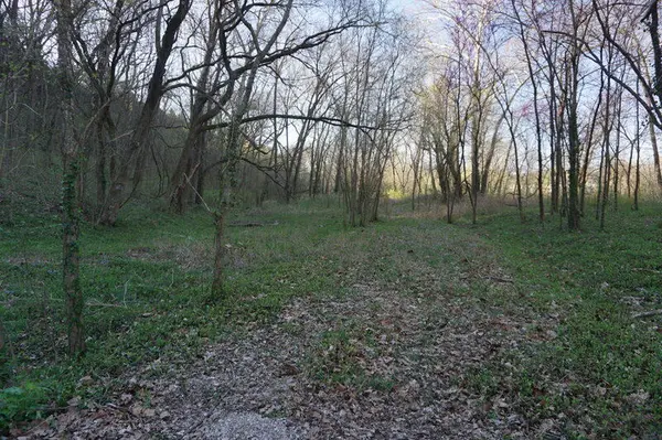 000 Iowa Colony RD, Hollister, MO 65672