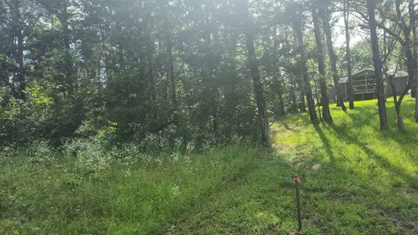 Lot142 143 Farm Road 1255, Shell Knob, MO 65747