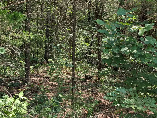 6 Lots Farm Road 1255, Shell Knob, MO 65747