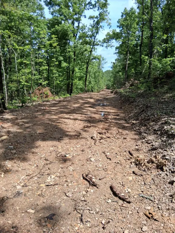 Tbd County Road 350, Dora, MO 65637
