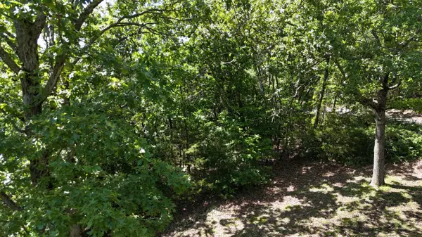 000 Farm Road 1197, Eagle Rock, MO 65641