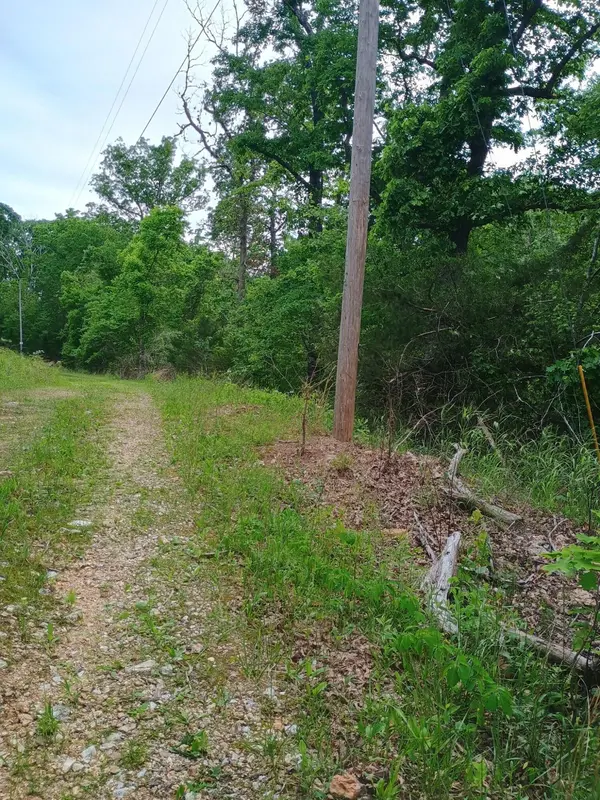 16680 Cantrell DR, Licking, MO 65542
