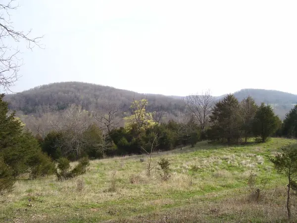 19358 Farm Road 2145, Cassville, MO 65625