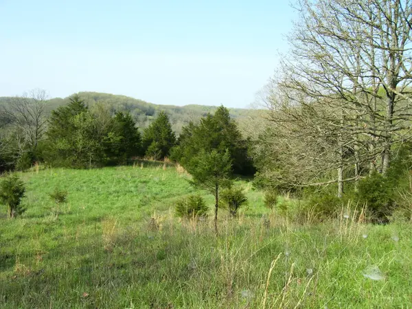 19358 Farm Road 2145, Cassville, MO 65625