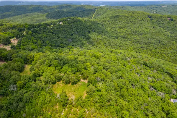 10 Acres Ice Box Cove LN, Galena, MO 65656