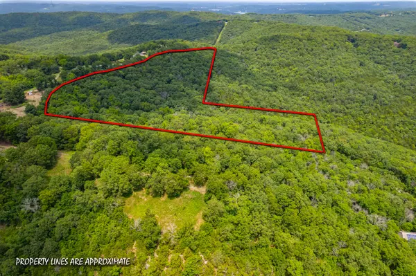 10 Acres Ice Box Cove LN, Galena, MO 65656