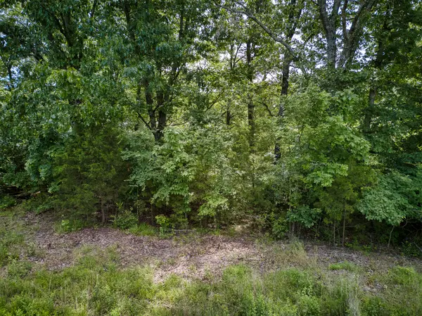000 Fox Hollow Dr/Lot 87, Shell Knob, MO 65747