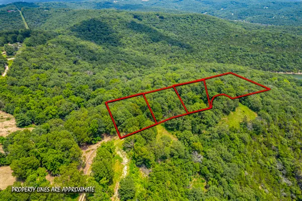 Lots 8-12 Cliffside DR, Galena, MO 65656