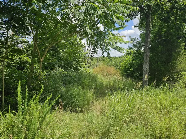 3486 N Farm Road 143, Springfield, MO 65803