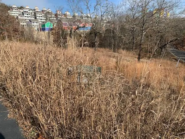 Lot 1 Cedar Landing Subdivision, Branson, MO 65616