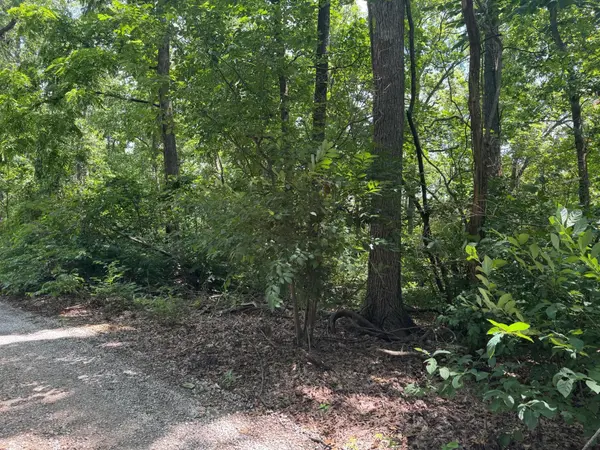 000 Twin Springs Drive, Cassville, MO 65625