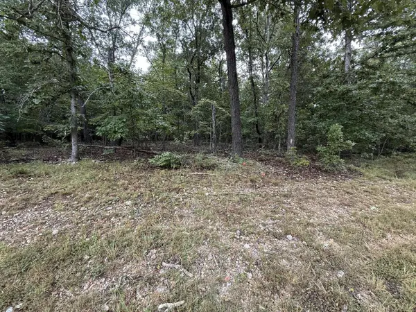 000 Private Road 2532, Mountain View, MO 65548