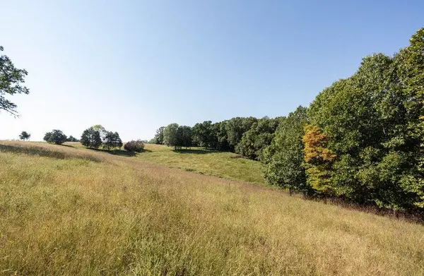 16478 Farm Road 1170, Cassville, MO 65623