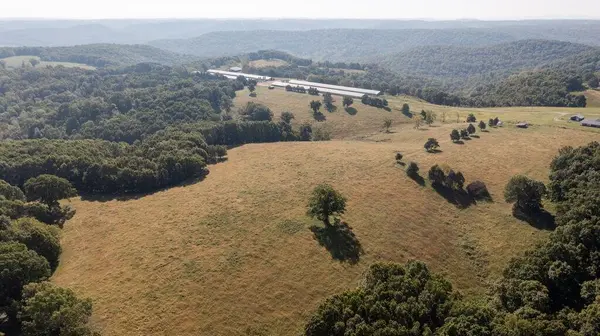 16478 Farm Road 1170, Cassville, MO 65623