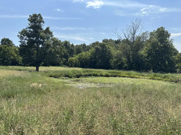 000 County Road 534, Ellington, MO 63638