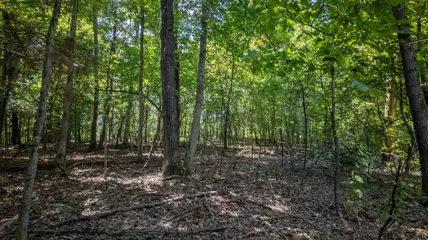 Lots 17-19 Riverbend Road, Mammoth Spring, AR 72554