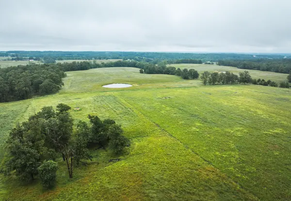 000 Farm Road 1200, Crane, MO 65633