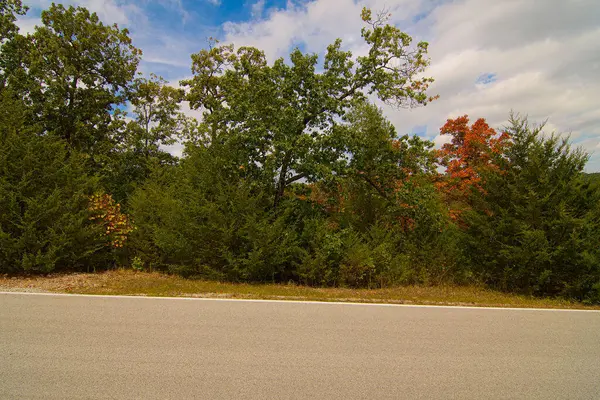 207 Black Forest LN, Branson West, MO 65737