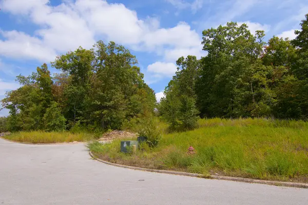 Tbd Vining Meadows DR, Branson West, MO 65737