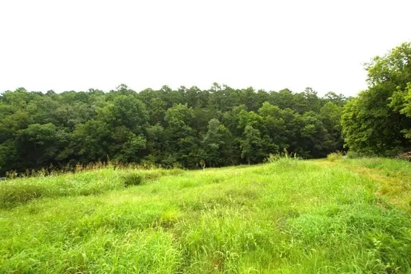 10.75acres Younkers LN, Noel, MO 64854