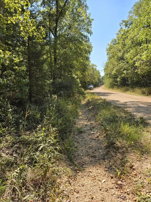 000 County Road 421, Birch Tree, MO 65438
