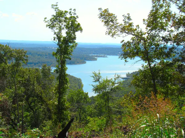 000 Stallion Bluff Rd RD, Shell Knob, MO 65747