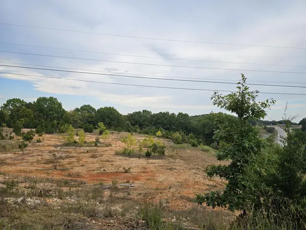 000 Armadillo Ln., Branson West, MO 65737