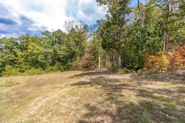 Lot 11 White Fish Bay, Kimberling City, MO 65686