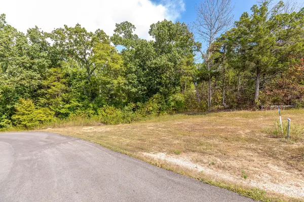 Lot 14&20a White Fish Bay, Kimberling City, MO 65686
