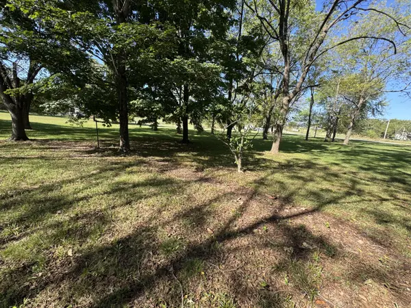 238 S Clompton ST, Dadeville, MO 65635