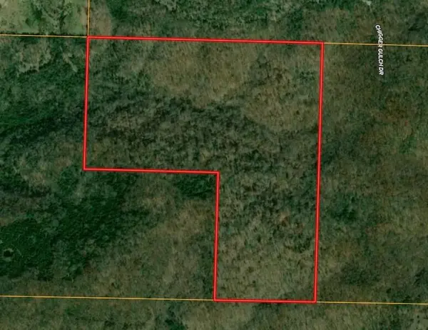 000 Mannon RD, Ava, MO 65608