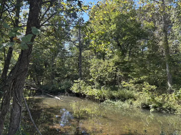 Tbd W Lakeshore Drive, Cherokee Village, AR 72529