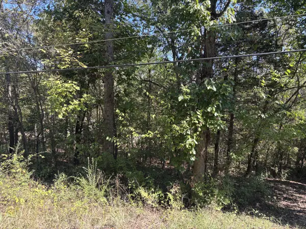 Tbd W Lakeshore Drive, Cherokee Village, AR 72529