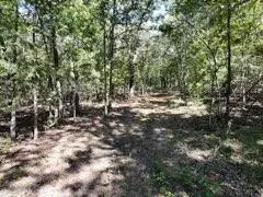 2904 Moark RD #Lot 7, Cedar Creek, MO 65627