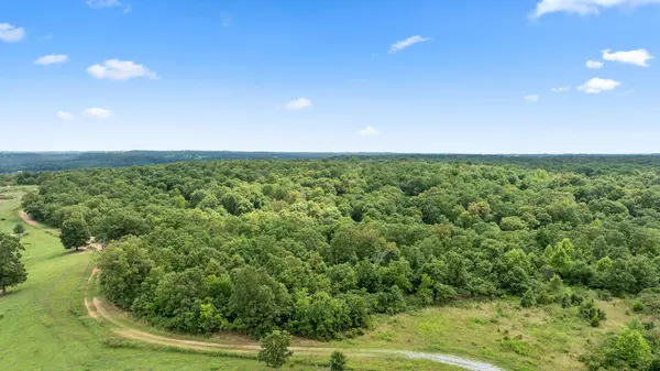 Tract 7 Styles RD, Noel, MO 64854