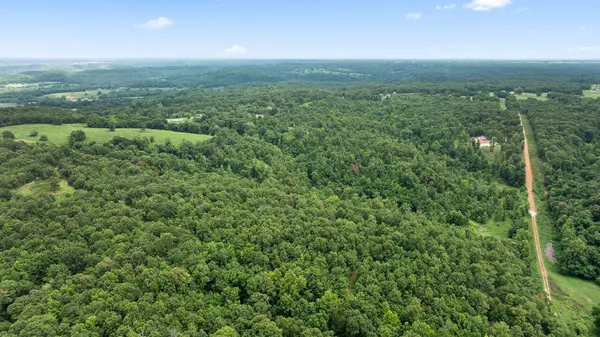 Tract 9 Styles RD, Noel, MO 64854