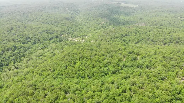 000 64 Hwy #Lot 17, Lebanon, MO 65536