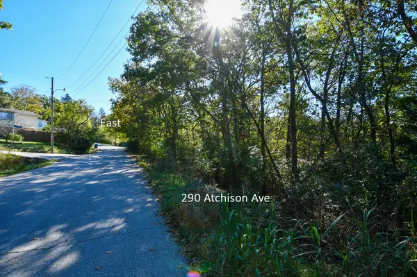 290 Atchison AVE, Forsyth, MO 65653