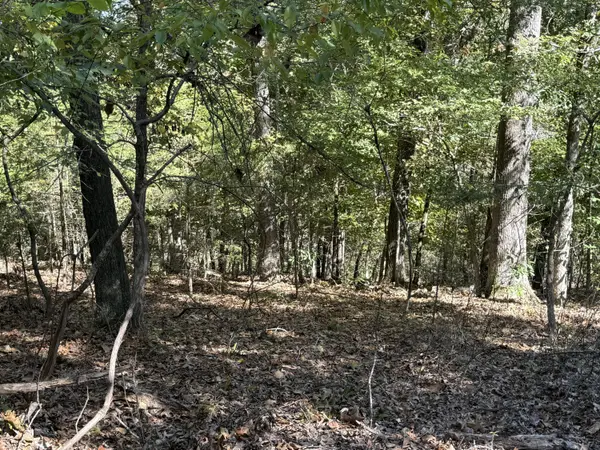 000 Farm Road 1263, Golden, MO 65658