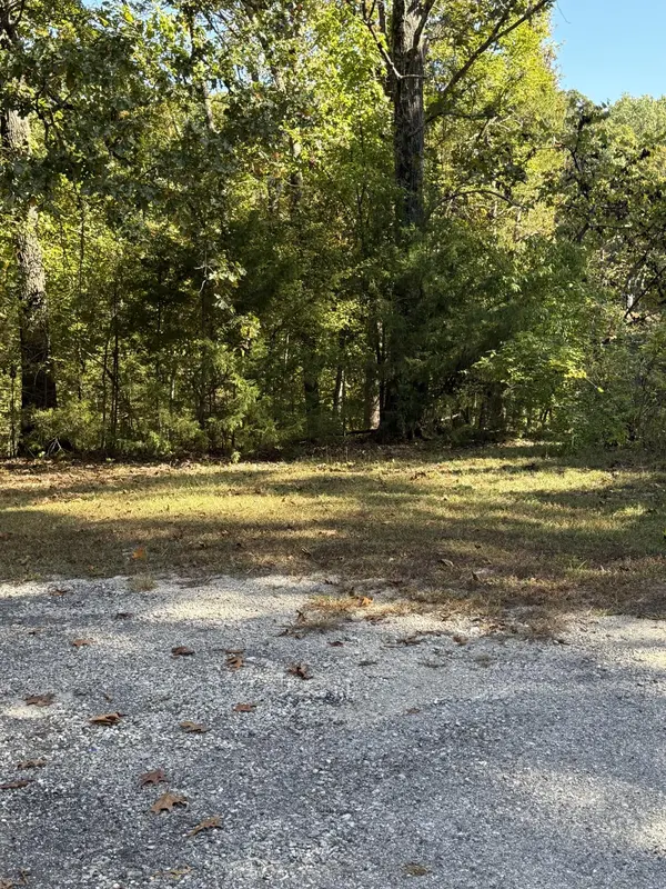 000 Farm Road 1263, Golden, MO 65658