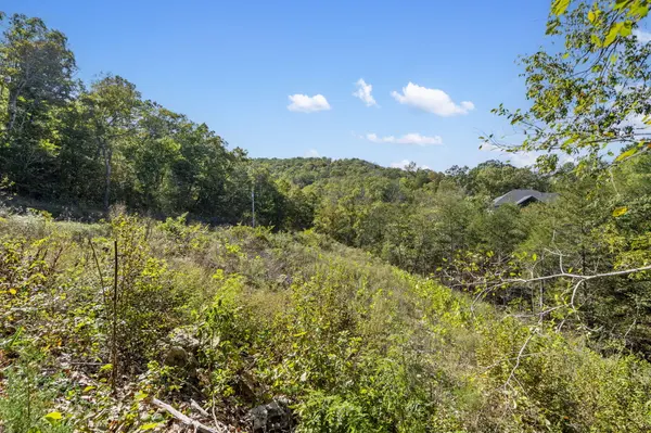 195 Kings Ridge RD, Cape Fair, MO 65624