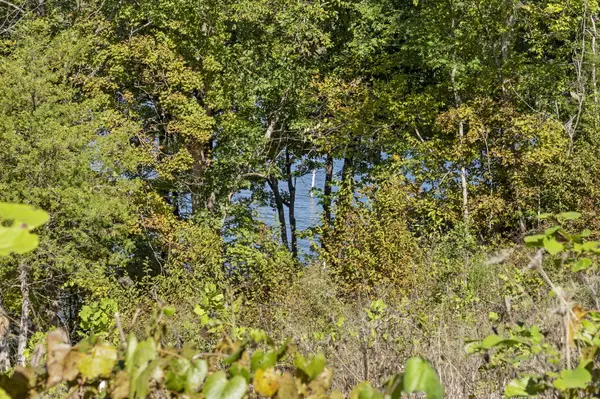 195 Kings Ridge RD, Cape Fair, MO 65624