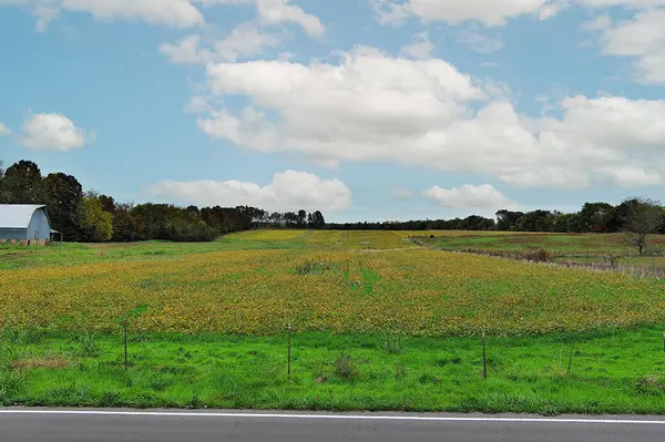 000 W Farm Road 194, Republic, MO 65738