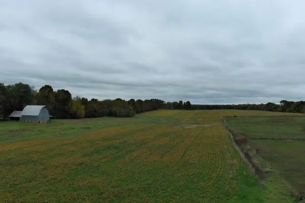 000 W Farm Road 194, Republic, MO 65738